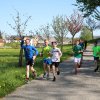 Schullauf 104